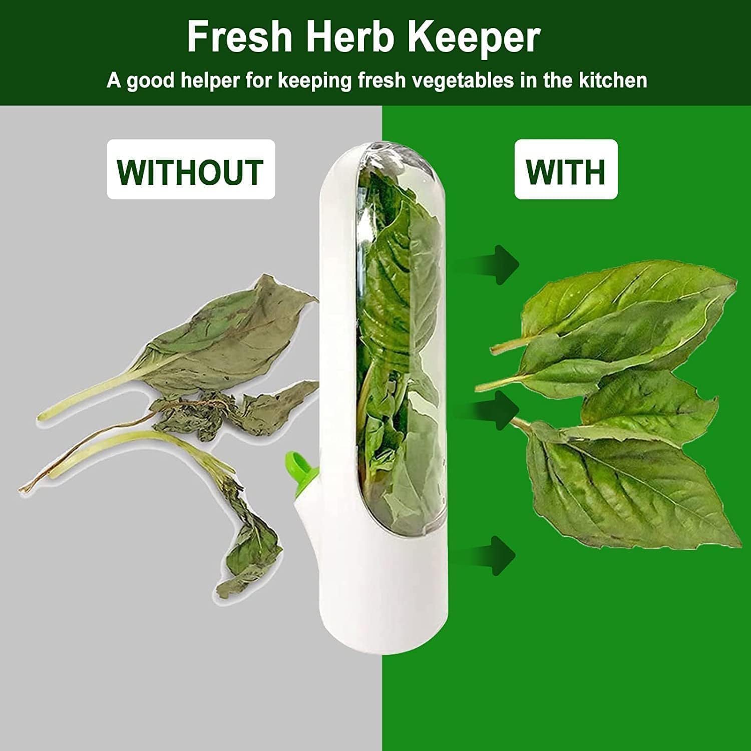 HerbSaver Fresh Herb Keeper Container – Airtight Herb Saver for Cilantro, Mint, Parsley & Greens | Long-Lasting Produce Storage