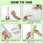 HerbSaver Fresh Herb Keeper Container – Airtight Herb Saver for Cilantro, Mint, Parsley & Greens | Long-Lasting Produce Storage